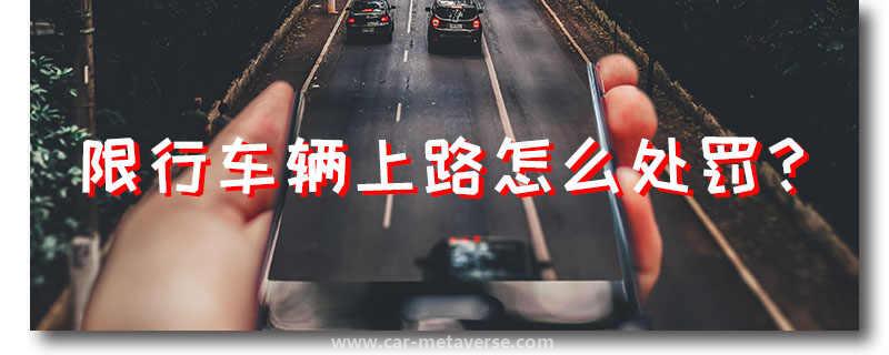 限号开了一天车怎么罚