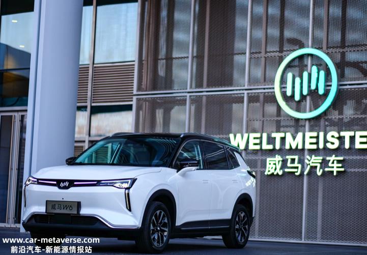 谁来为新能源汽车公司亏本卖车的账目买单?