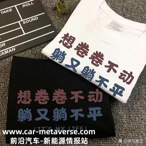 国轩高科被公众注资后,抓住了救命稻草