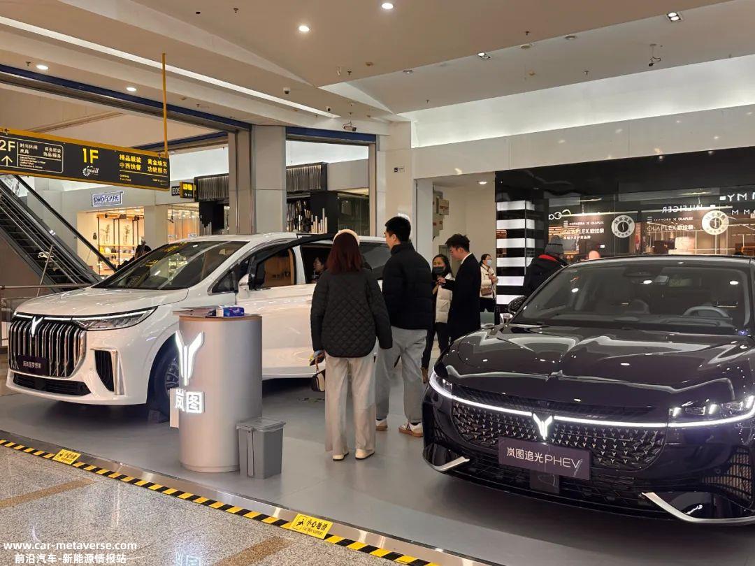 接收者或投资者可以从高合公司购买什么?