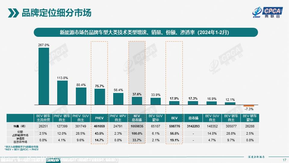 【深度分析】2024年2月份全国新能源市场深度分析报告