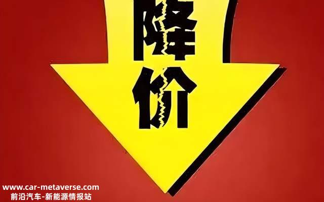 电动汽车占国内汽车销量的30%,难以继续扩大规模